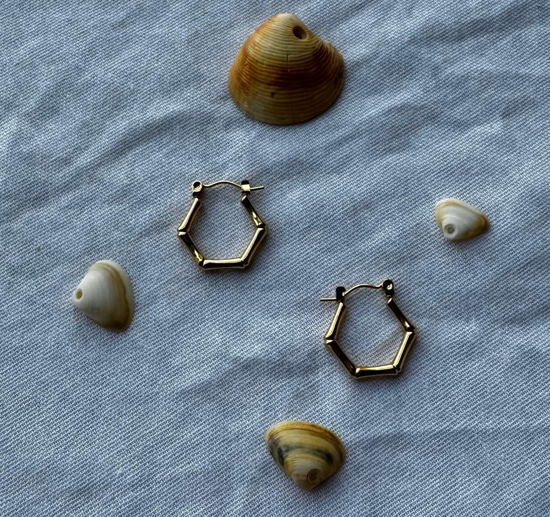 Pendientes hexágono hueso