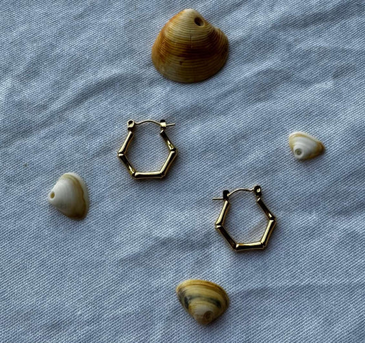 Pendientes hexágono hueso